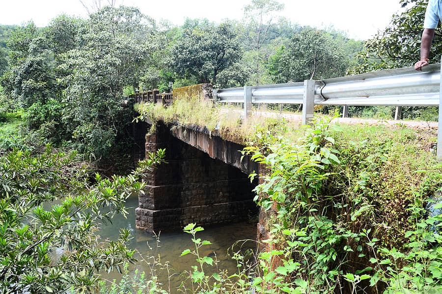 ಶಿಥಿಲವಾಗಿರುವ ಗುಲುಗುಂಜಿಮನೆ ಸೇತುವೆ