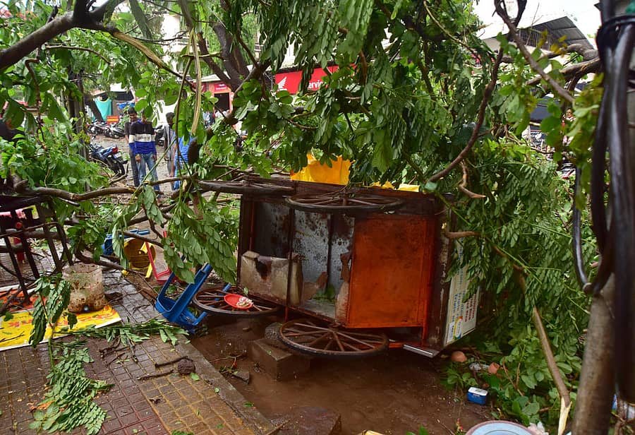ಹುಬ್ಬಳ್ಳಿಯ ವಿದ್ಯಾನಗರದ ಹಳೇ ತೆರಿಗೆ ಕಚೇರಿ ರಸ್ತೆಯ ಬಳಿ ಗೂಡಂಗಡಿ ಮೇಲೆ ಮರ ಬಿದ್ದಿರುವುದು– ಪ್ರಜಾವಾಣಿ ಚಿತ್ರ
