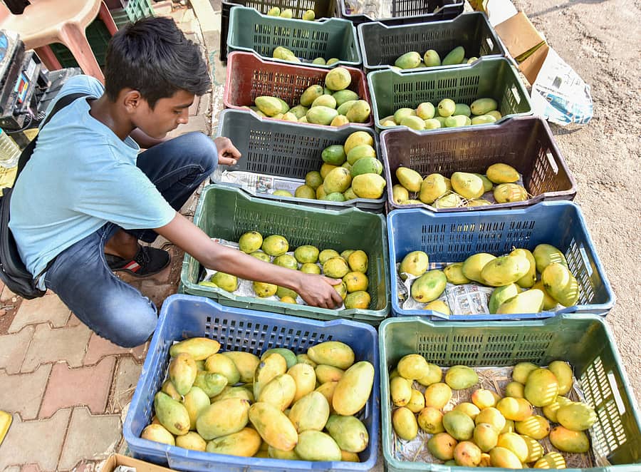 ಲಾಲ್‌ಬಾಗ್‌ನಲ್ಲಿ ಮಾವು ಮಾರಾಟ ಮಾಡುತ್ತಿರುವ ವರ್ಷನ್ –ಪ್ರಜಾವಾಣಿ ಚಿತ್ರ