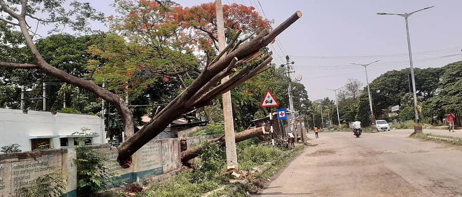 ಜಗಳೂರು ತಾಲ್ಲೂಕಿನ ಬಿಳಿಚೋಡು ಗ್ರಾಮದ ಸರ್ಕಾರಿ ಶಾಲೆಯಲ್ಲಿ ಮರ ಬಿದ್ದಿದ್ದು, ಕಾಂಪೌಂಡ್ಗೆ ಹಾನಿಯಾಗಿದೆ