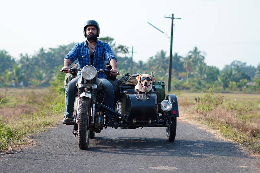 777 ಚಾರ್ಲಿ ಚಿತ್ರದಲ್ಲಿ ನಟ ರಕ್ಷಿತ್‌ ಶೆಟ್ಟಿ