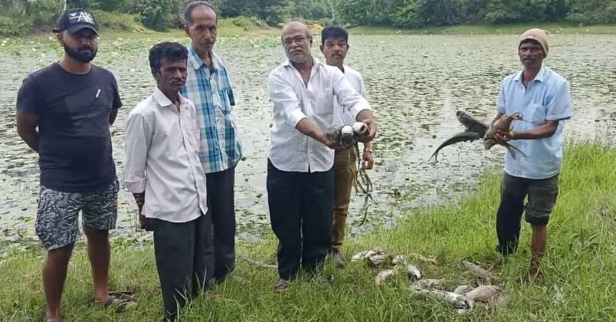 ಆಲೂರು ತಾಲ್ಲೂಕಿನ ರಾಯರಕೊಪ್ಪಲು ಗ್ರಾಮದ ಅಯ್ಯನಕೆರೆಯಲ್ಲಿ ಮೀನುಗಳು ಮೃತಪಟ್ಟಿವೆ
