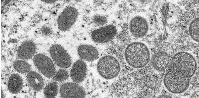 ಕಾರ್ಲ್ ಟಿ ಬರ್ಕ್‌ಸ್ಟೋರ್ಮ್ ಟ್ವಿಟರ್ ಖಾತೆಯ ಚಿತ್ರ