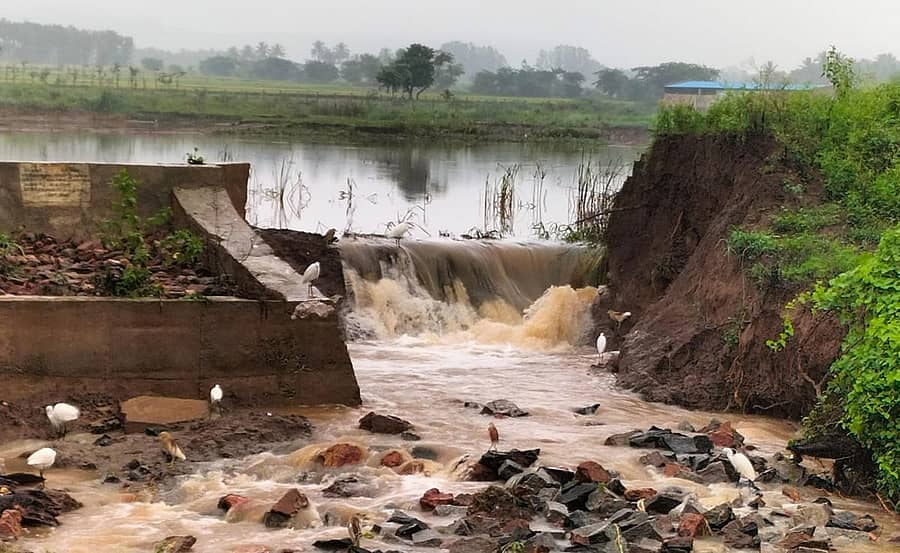 ಮಲೇಬೆನ್ನೂರು ಸಮೀಪದ ಹರಳಹಳ್ಳಿ ಕೆರೆ ಈಚೆಗೆ ಸುರಿದ ಮಳೆಗೆ ಭರ್ತಿಯಾಗಿದ್ದು ಶನಿವಾರ ಕೋಡಿ ಬಿದ್ದಿದೆ.