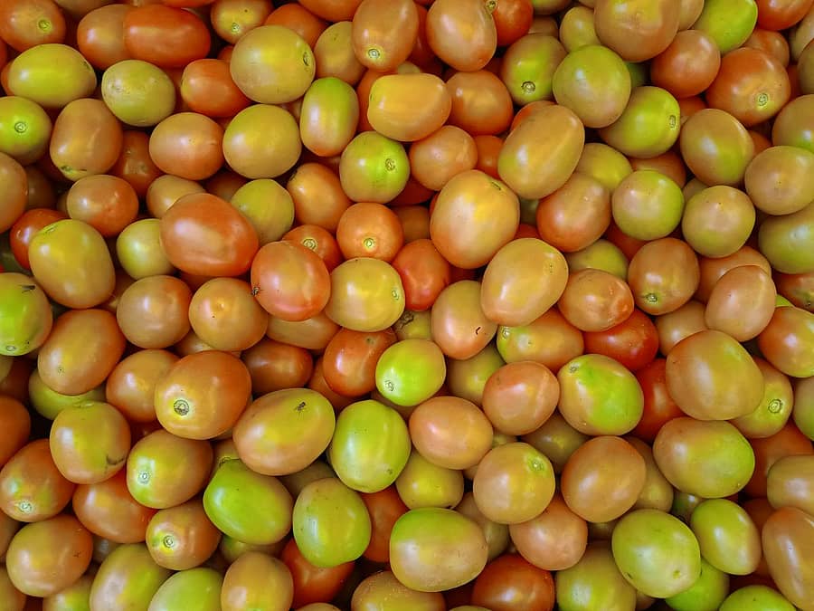 ಟೊಮೆಟೊ