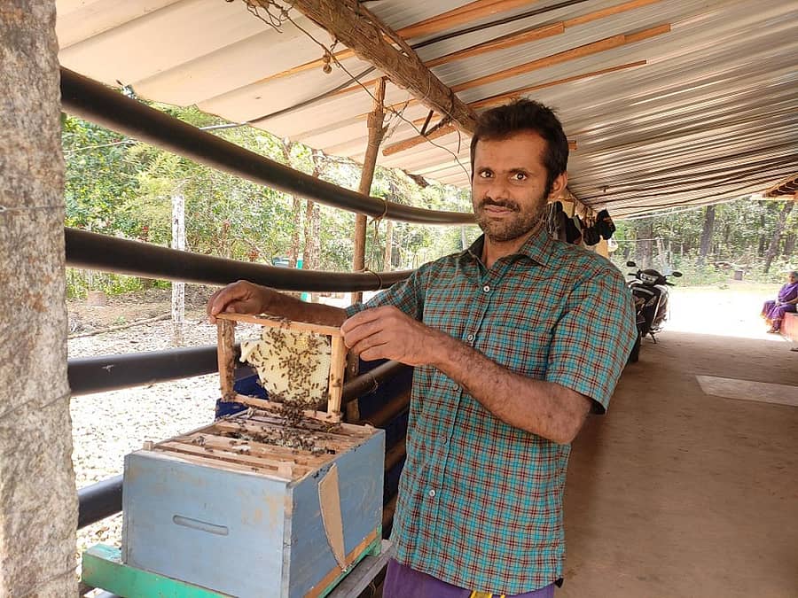 ಜೇನು ಸಾಕಣೆಯಲ್ಲಿ ತೊಡಗಿಕೊಂಡಿರುವ ಹೆನಗೆರೆ ಗ್ರಾಮದ ಕಿರಣ್ ಕುಮಾರ್
