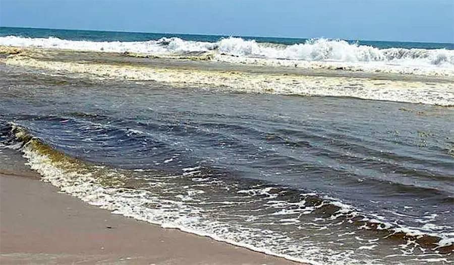 ಸುರತ್ಕಲ್ ಭಾಗದಲ್ಲಿ ಸಮುದ್ರದಲ್ಲಿ ಕಂಡು ಬಂದಿದ್ದ ಜಿಡ್ಡಿನ ಅಂಶ (ಸಂಗ್ರಹ ಚಿತ್ರ)