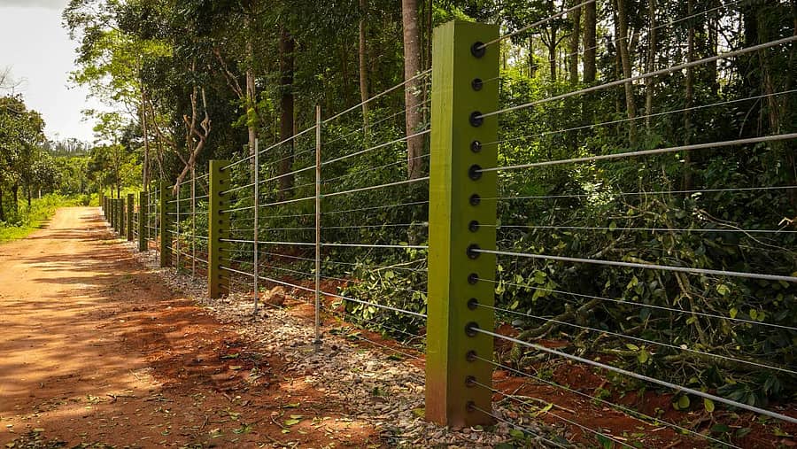 ಕಾಡಾನೆ ದಾಳಿ ತಡೆಗೆ ಸಕಲೇಶಪುರ ತಾಲ್ಲೂಕಿನ ಬಾಳ್ಳುಪೇಟೆಯಲ್ಲಿ ಜಂಬೂ ರೋಪ್ ಬ್ಯಾರಿಯರ್ ಅಳವಡಿಸಲಾಗಿದೆ