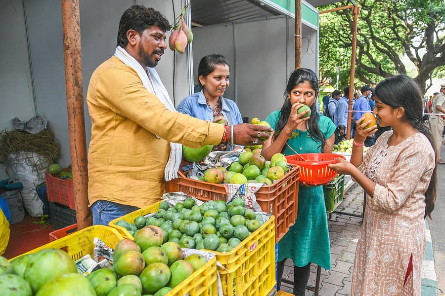 ಲಾಲ್ಬಾಗ್ನಲ್ಲಿ ಆಯೋಜಿಸಿರುವ ಮಾವು ಮತ್ತು ಹಲಸು ಮೇಳದಲ್ಲಿ ಯುವತಿಯರು ಮಾವು ಖರೀದಿಸಿದರು – ಪ್ರಜಾವಾಣಿ ಚಿತ್ರ