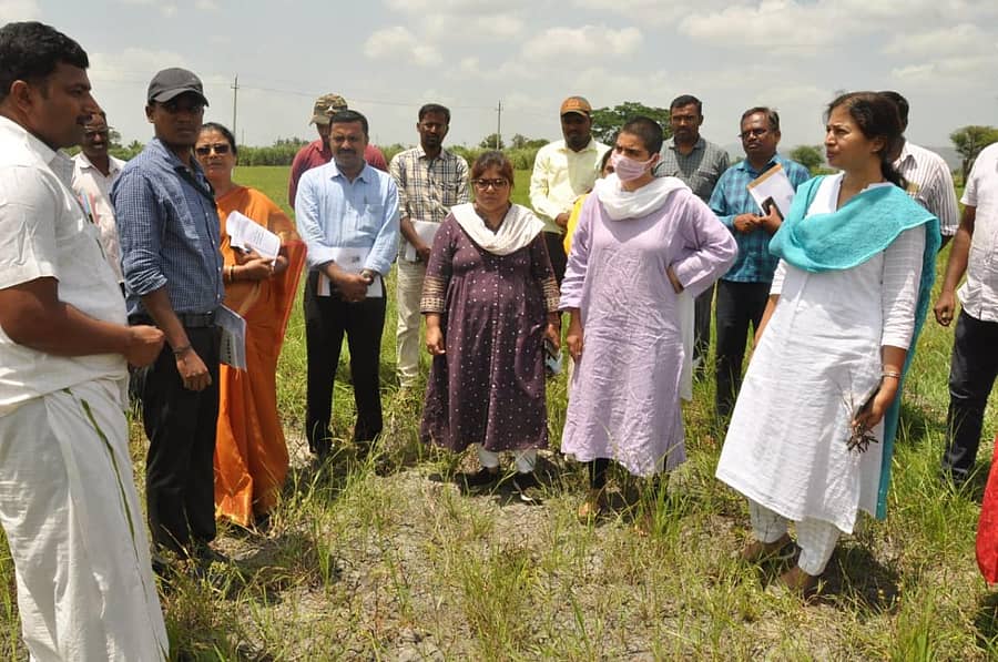ಕೊಳ್ಳೇಗಾಲ ತಾಲ್ಲೂಕಿನ ಕುಂತೂರು ಗ್ರಾಮದಲ್ಲಿ ಜಿಲ್ಲಾ ಉಸ್ತುವಾರಿ ಕಾರ್ಯದರ್ಶಿ ಬಿ.ಬಿ ಕಾವೇರಿ ಅವರು ಮಳೆಯಿಂದಾಗಿ ಹಾನಿಗೀಡಾಗಿರುವ ಬೆಳೆಯನ್ನು ಪರಿಶೀಲಿಸಿದರು. ಜಿಲ್ಲಾಧಿಕಾರಿ ಚಾರುಲತಾ ಸೋಮಲ್, ಜಿ.ಪಂ ಸಿಇಒ ಕೆ.ಎಂ.ಗಾಯಿತ್ರಿ ಸೇರಿದಂತೆ ಇತರ ಅಧಿಕಾರಿಗಳು ಇದ್ದರು