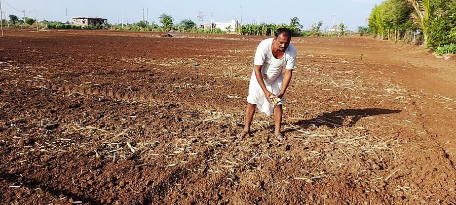 ದೇವರಹಿಪ್ಪರಗಿ ರೈತ ಶ್ರೀಶೈಲ ದಾನಗೊಂಡ ಬಿತ್ತನೆಗೆ ಮುನ್ನ ತಮ್ಮ ತೋಟದಲ್ಲಿ ಕಳೆ ಗೂಡಿಸಿ,ಸಿದ್ದಗೊಳಿಸುತ್ತಿರುವುದು