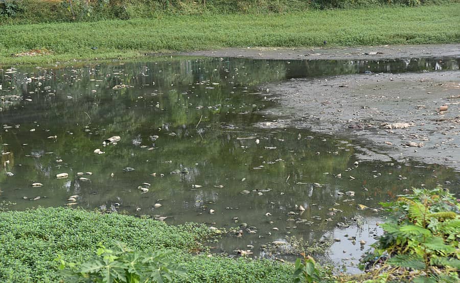 ಹಲಸೂರು ಕೆರೆ ಕೊಳಚೆ ನೀರಿನಿಂದ ಹಾಳಾಗಿರುವ ದೃಶ್ಯ. – ಪ್ರಜಾವಾಣಿ ಚಿತ್ರ.