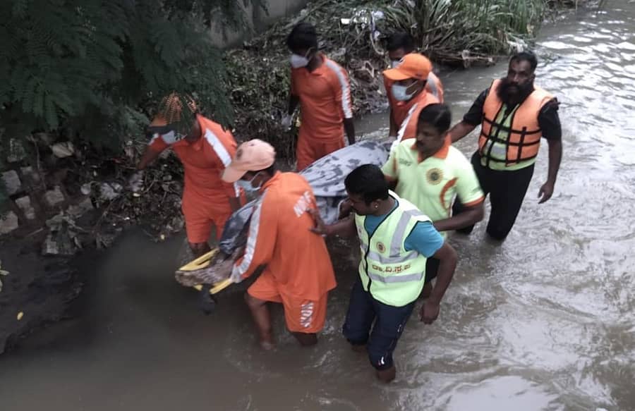 ರಾಜಕಾಲುವೆಯಲ್ಲಿ ಪತ್ತೆಯಾದ ಮಿಥುನ್ ಮೃತದೇಹವನ್ನು ರಕ್ಷಣಾ ಸಿಬ್ಬಂದಿ ಆಸ್ಪತ್ರೆಗೆ ಸಾಗಿಸಿದರು