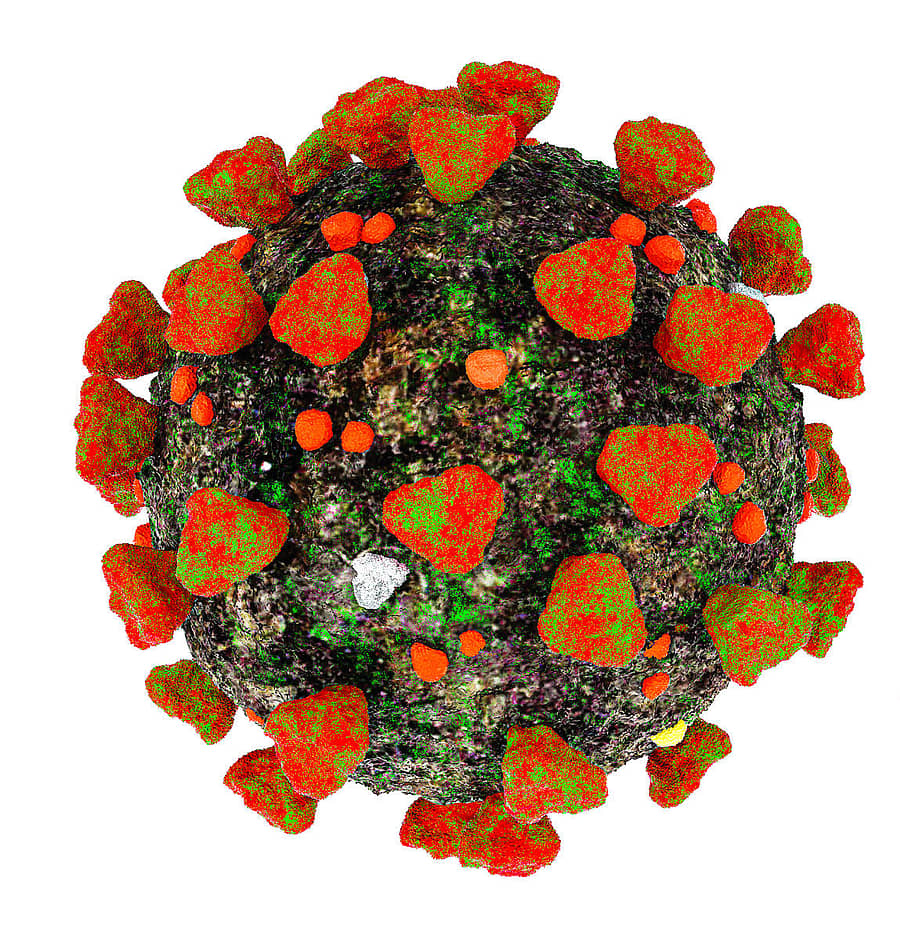 Omicron Covid variant