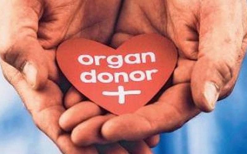 ಪ್ರಾತಿನಿಧಿಕ ಚಿತ್ರ