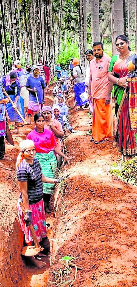 ದಕ್ಷಿಣ ಕನ್ನಡ ಜಿಲ್ಲೆ ಸುಳ್ಯ ತಾಲ್ಲೂಕಿನ ಮಂಡೆಕೋಲು ಗ್ರಾಮ ಪಂಚಾಯಿತಿಯಲ್ಲಿ ಬಸಿಗಾಲುವೆ ನಿರ್ಮಾಣದಲ್ಲಿ ಮಹಿಳೆಯರು