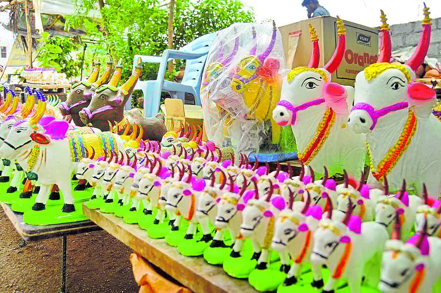 ಯಾದಗಿರಿಯ ಮೆಥೋಡಿಸ್ಟ್ ಚರ್ಚ್ ಮುಂಭಾಗದಲ್ಲಿ ಮಣ್ಣು, ಪಿಒಪಿ ಎತ್ತಿನ ಮೂರ್ತಿಗಳನ್ನು ಮಾರಾಟಕ್ಕೆ ಇಡಲಾಗಿದೆ ಪ್ರಜಾವಾಣಿ ಚಿತ್ರ/ ರಾಜಕುಮಾರ ನಳ್ಳಿಕರ