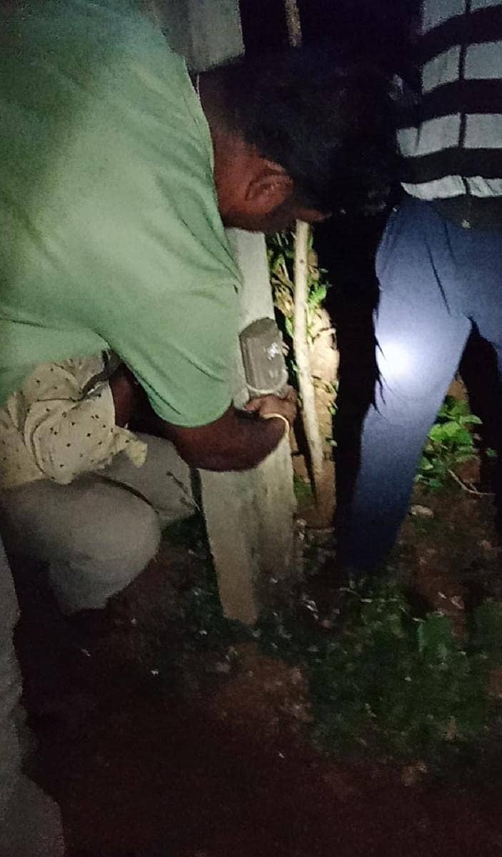 ಹುಲಿಯ ಓಡಾಟ ಇರುವ ಸ್ಥಳದಲ್ಲಿ ಅರಣ್ಯ ಇಲಾಖೆ ಸಿಬ್ಬಂದಿ ಕ್ಯಾಮೆರಾ ಟ್ರ್ಯಾಪ್ ಅಳವಡಿಸಿರುವುದು