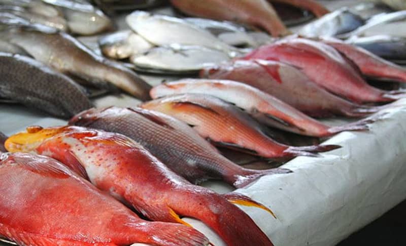 ಸಾಂದರ್ಭಿಕ ಚಿತ್ರ