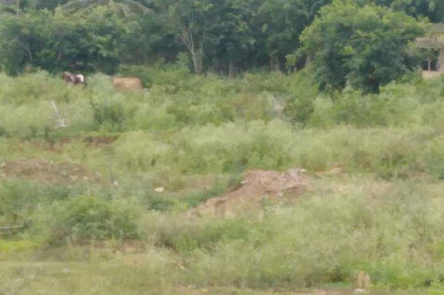 ನ್ಯಾಮತಿ ಪಟ್ಟಣದಲ್ಲಿ ಹಿಂದೂ ರುದ್ರಭೂಮಿ ನಿರ್ವಹಣೆ ಇಲ್ಲದೆ ಗಿಡಗಂಟಿಗಳು ಬೆಳೆದು, ಒತ್ತುವರಿಯಾಗಿದೆ