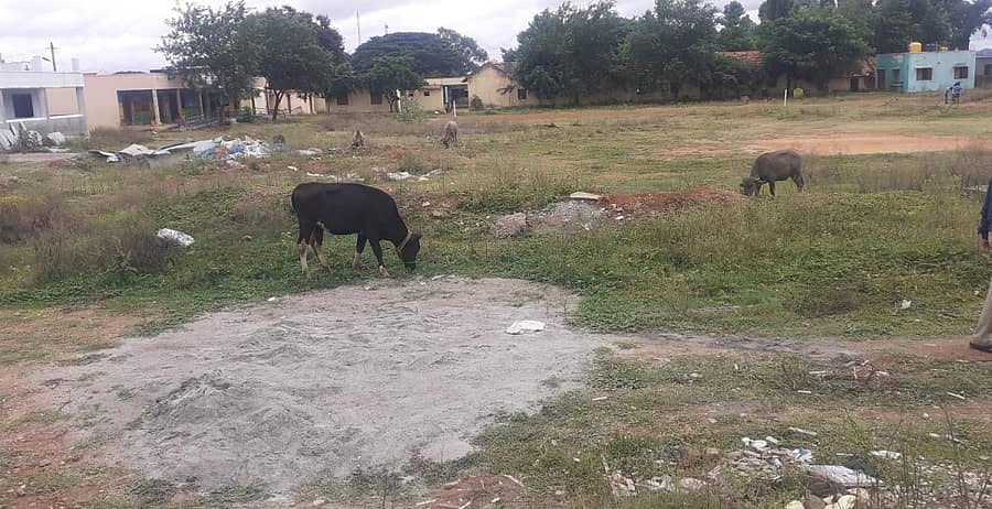 ಶ್ರೀರಾಂಪುರದ ಕರ್ನಾಟಕ ಪಬ್ಲಿಕ್ ಶಾಲೆಯ ಆಟದ ಮೈದಾನಸ ಸ್ಥಿತಿ.