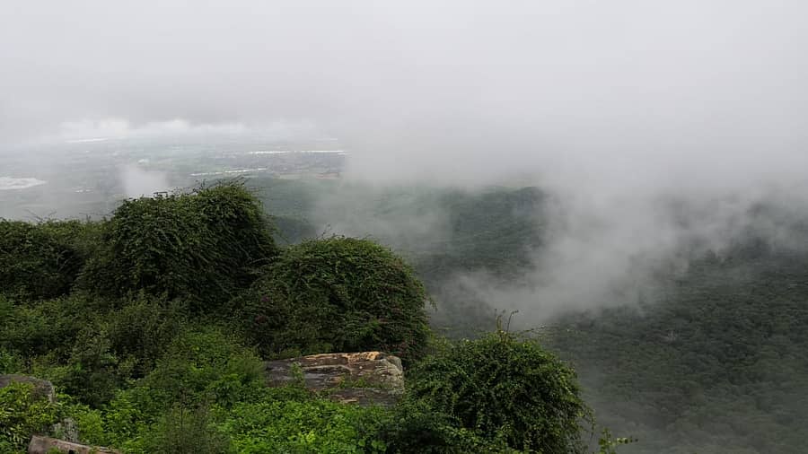 ಬಿಳಿಗಿರಿರಂಗನಬೆಟ್ಟ