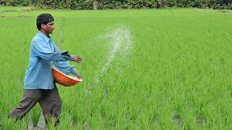 ಪ್ರಾತಿನಿಧಿಕ ಚಿತ್ರ