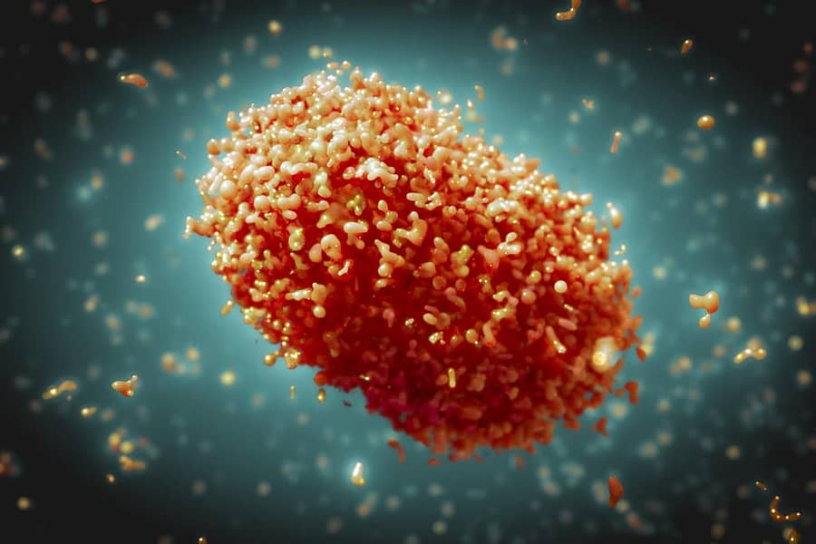 ಮಂಕಿಪಾಕ್ಸ್‌ ವೈರಾಣು (ಚಿತ್ರಕೃಪೆ: ವಿಶ್ವ ಆರೋಗ್ಯ ಸಂಸ್ಥೆ)