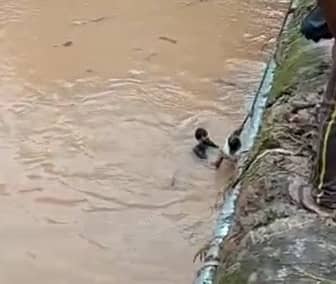 ಸುಬ್ರಹ್ಮಣ್ಯ: ಪ್ರವಾಹ ನೀರಿಗೆ ಬಿದ್ದ ಅನ್ಯಕೋಮಿನ ವ್ಯಕ್ತಿಯನ್ನು ರಕ್ಷಿಸಿದ ಯುವಕ