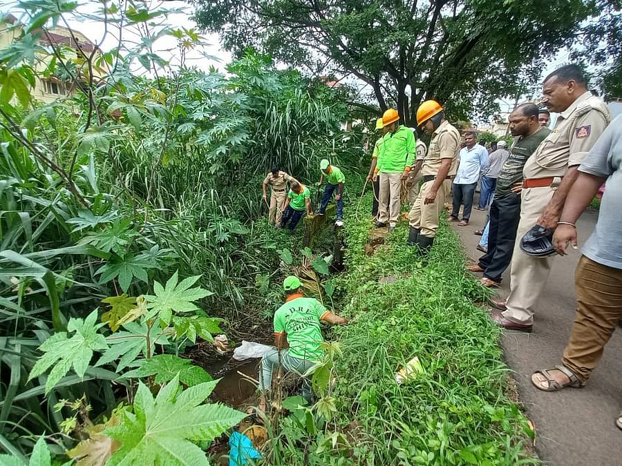 ಬೆಳಗಾವಿಯಲ್ಲಿ ಶುಕ್ರವಾರ ಚಿರತೆ ಅವಿತಿದ್ದ ಪೊದೆಯಲ್ಲಿ ಅರಣ್ಯ ಇಲಾಖೆ ಸಿಬ್ಬಂದಿ ಶೋಧ ನಡೆಸಿದರು –ಪ್ರಜಾವಾಣಿ ಚಿತ್ರ