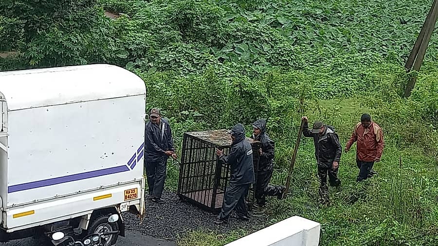 ಬೆಳಗಾವಿಗೆ ನುಗ್ಗಿರೋ ಚಿರತೆ ಹಿಡಿಯಲು ಅರಣ್ಯ ಇಲಾಖೆ ಸಿಬ್ಬಂದಿ ಬೋನು ತೆಗೆದುಕೊಂಡು ಹೋದರು