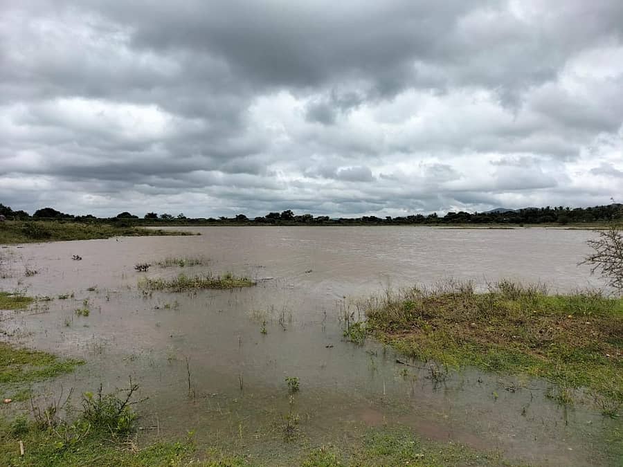 ಗುಂಡ್ಲುಪೇಟೆ ತಾಲ್ಲೂಕಿನ ಹಂಗಳ ಗ್ರಾಮದಲ್ಲಿರುವ ದೊಡ್ಡಕೆರೆಯ ನೋಟ