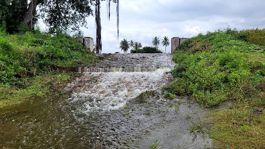 ಚಾಮರಾಜನಗರ ತಾಲ್ಲೂಕಿನ ಮಾಲಗೆರೆ ಎರಡು ದಿನಗಳ ಹಿಂದೆಯೇ ಕೋಡಿ ಬಿದ್ದಿದೆ.