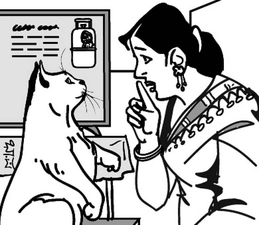 ಪ್ರಾತಿನಿಧಿಕ ಚಿತ್ರ