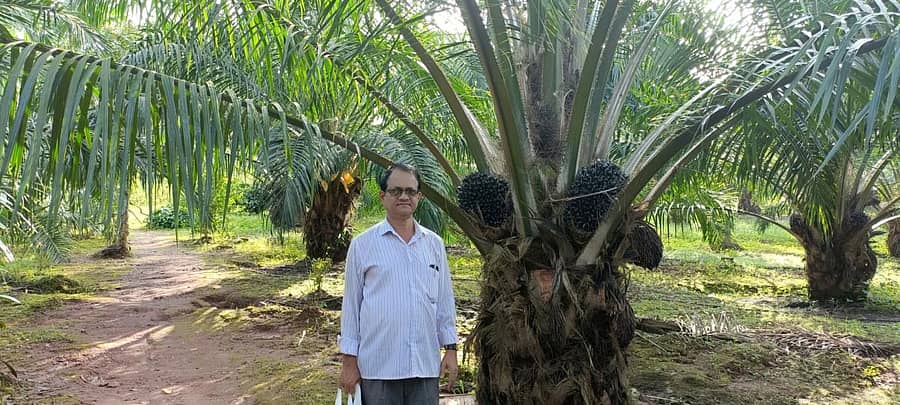 ತಾಳೆ ಬೆಳೆಯೊಂದಿಗೆ ರೈತ ಪ್ರಕಾಶ್ ನಾಯಕ್