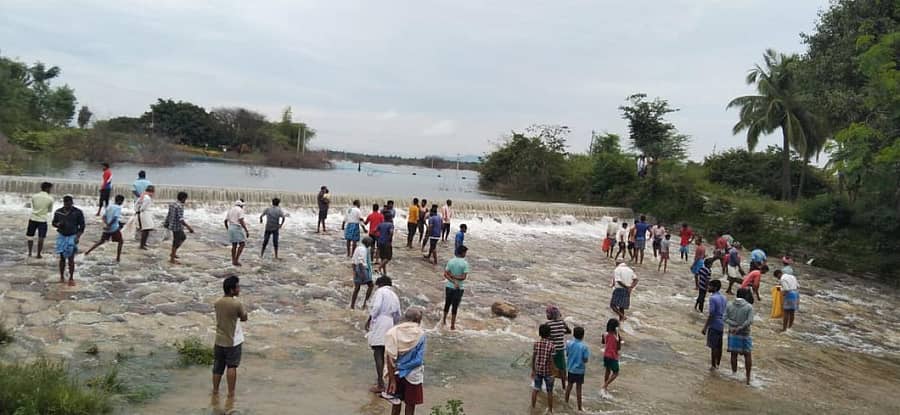 ಮುಷ್ಟೂರು ಮರವೇಮನೆ ಕೆರೆ ಕೋಡಿಯಲ್ಲಿ ಮೀನು ಹಿಡಿಯುತ್ತಿರುವ ಜನ