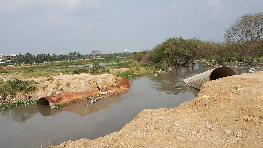 ಸಾಂದರ್ಭಿಕ ಚಿತ್ರ 