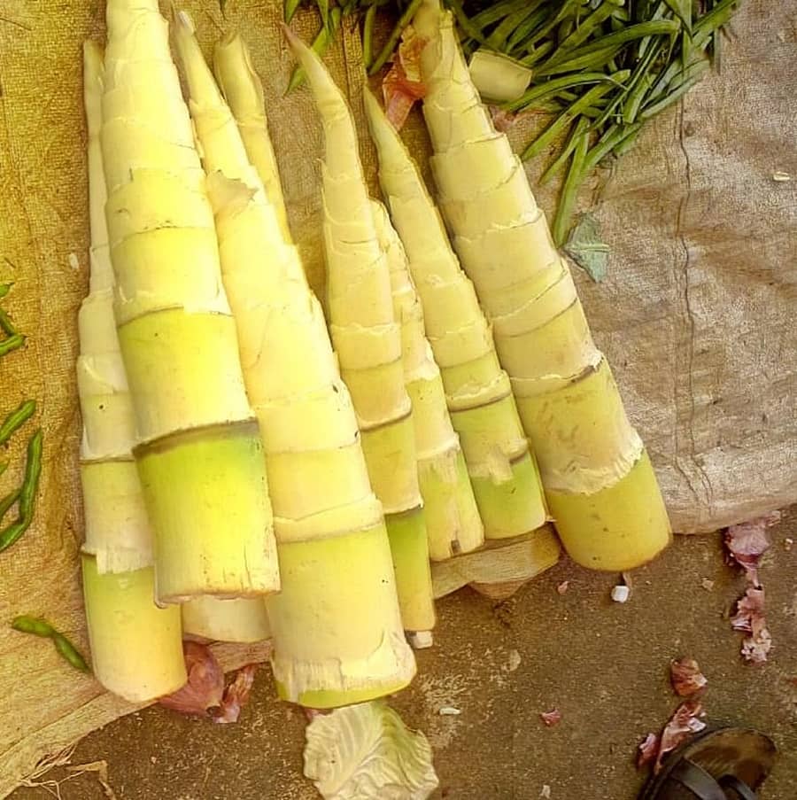 ಸಂತೆ ಮಾರುಕಟ್ಟೆಯಲ್ಲಿ ಮಾರಾಟಕ್ಕೆ ತಂದಿದ್ದ ಕಳಲೆ (ಸಿಪ್ಪೆ ತೆಗೆದ ಕಳಲೆ)