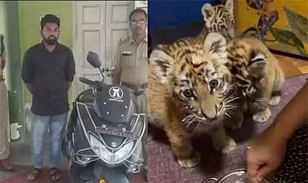 ಬಂಧಿತ ಪ್ರತಿಭನ್