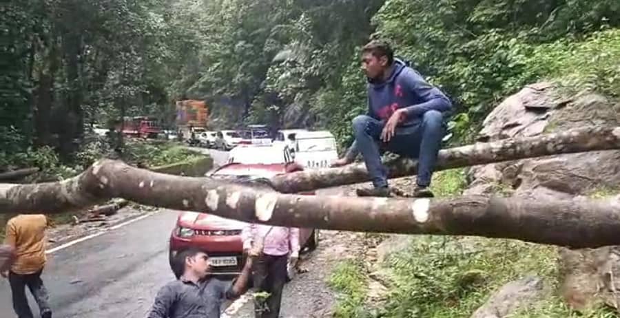 ಚಾರ್ಮಾಡಿ ಘಾಟಿಯ ಮೂರನೇ ತಿರುವಿನ ಬಳಿ ಮರವೊಂದು ರಸ್ತೆಗೆ ಬಿದ್ದು ವಾಹನ ಸಂಚಾರ ಸ್ಥಗಿತವಾಗಿರುವುದು