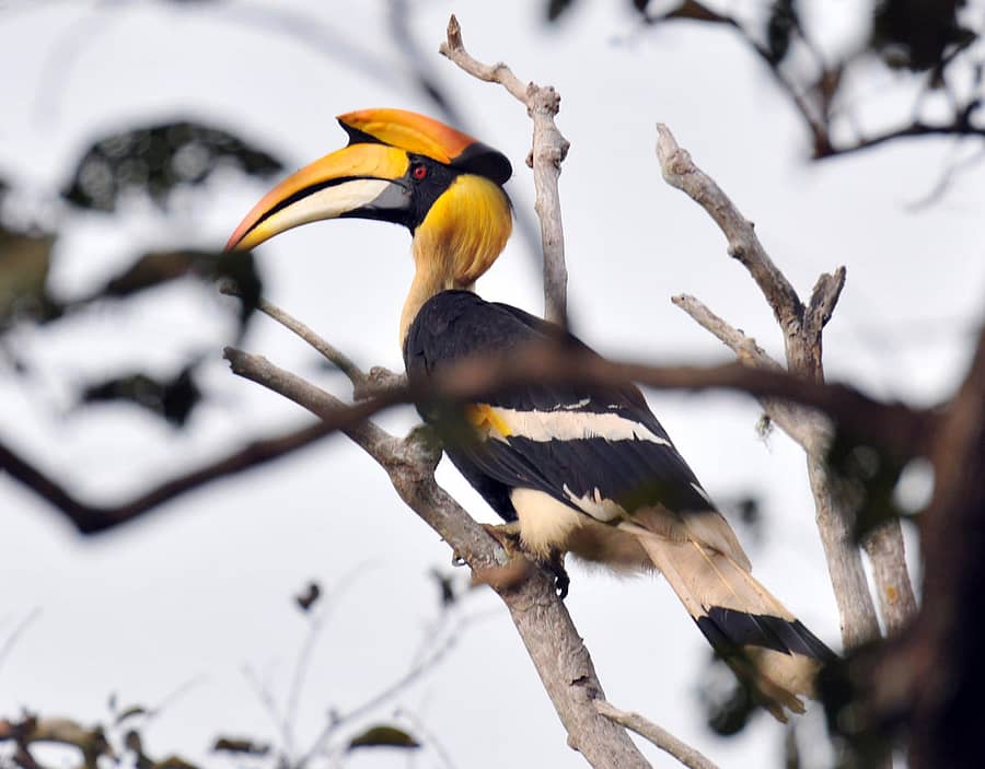ಸಾಂದರ್ಭಿಕ ಚಿತ್ರ