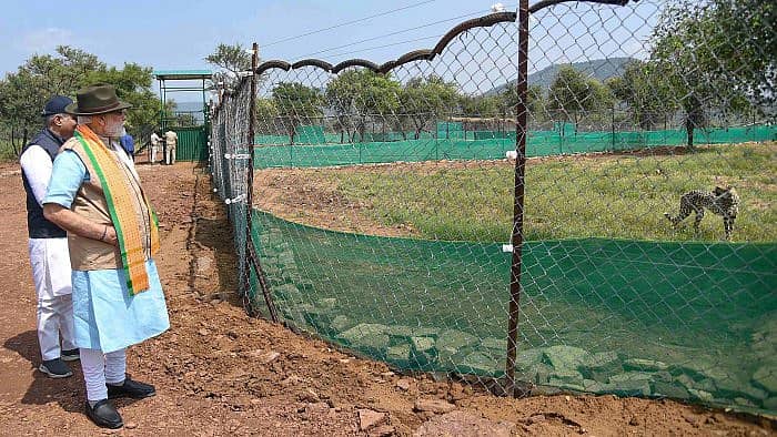 ಕುನೊ ರಾಷ್ಟ್ರೀಯ ಉದ್ಯಾನದಲ್ಲಿ ಚೀತಾಗಳನ್ನು ಬಿಡುಗಡೆ ಮಾಡಿದ ಬಳಿಕ ಪ್ರಧಾನಿ ನರೇಂದ್ರ ಮೋದಿ – ಸಂಗ್ರಹ ಚಿತ್ರ