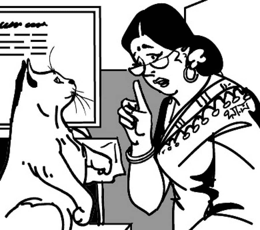 ಸಾಂದರ್ಭಿಕ ಚಿತ್ರ