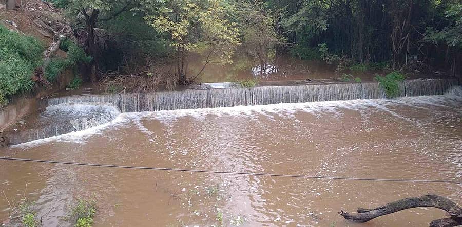 ಚಿಕ್ಕಜಾಜೂರು ಸಮೀಪದ ಸಾಸಲುಹಳ್ಳದ ಬಳಿ ಇರುವ ಹಳ್ಳದಲ್ಲಿ ನೀರು ತುಂಬಿ ಹರಿಯುತ್ತಿರುವುದು