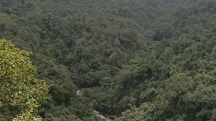 ಸಾಂದರ್ಭಿಕ ಚಿತ್ರ