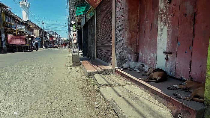 ಸಾಂದರ್ಭಿಕ ಚಿತ್ರ