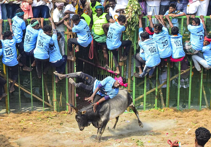 ಸಾಂದರ್ಭಿಕ ಚಿತ್ರ