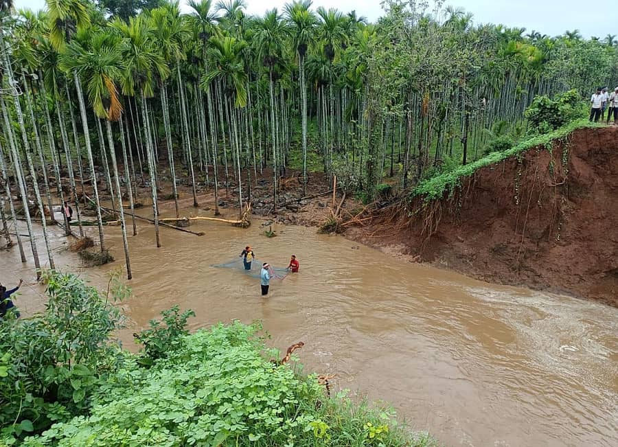 ಶಿಕಾರಿಪುರ ತಾಲ್ಲೂಕಿನಲ್ಲಿ ಸುರಿದ ಮಳೆಯಿಂದ ತಾಲ್ಲೂಕಿನ ಹುಲುಗಿನಕಟ್ಟೆ ಗ್ರಾಮ ಸಮೀಪದ ಮುರುಘಣ್ಣನ ಕೆರೆ ಏರಿ ಒಡೆದು ಅಡಿಕೆ ತೋಟಕ್ಕೆ ನೀರು ನುಗ್ಗಿದೆ.