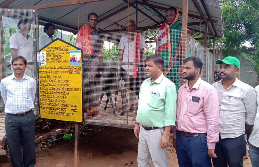 ಮಂಗಳಾದೇವಿ ಸ್ತ್ರೀಶಕ್ತಿ ಸ್ವ ಸಹಾಯ ಸಂಘದ ಸದಸ್ಯರು ಎನ್ಆರ್ಎಲ್ಎಂ ಯೋಜನೆಯಡಿ ನೀಡಿದ ಸಾಲದಲ್ಲಿ ಖರೀದಿಸಿದ ಮೇಕೆ ಹಾಗೂ ನರೇಗಾ ಯೋಜನೆಯಡಿ ನಿರ್ಮಿಸಿದ ಮೇಕೆ ಶೆಡ್