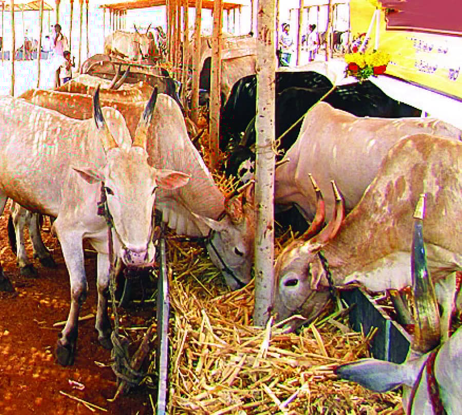 ಪ್ರಾತಿನಿಧಿಕ ಚಿತ್ರ